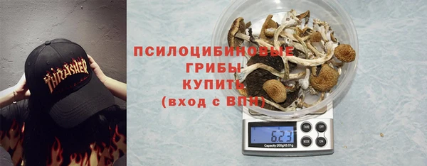 хмурый Верея