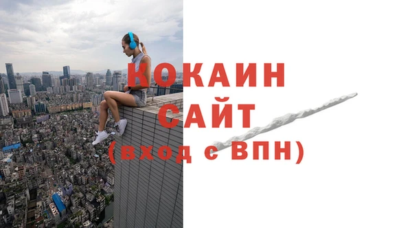 хмурый Верея