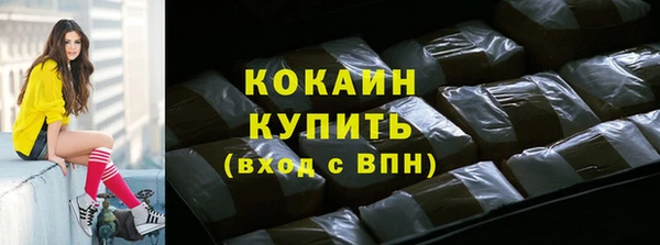 хмурый Верея