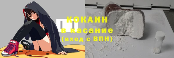 хмурый Верея