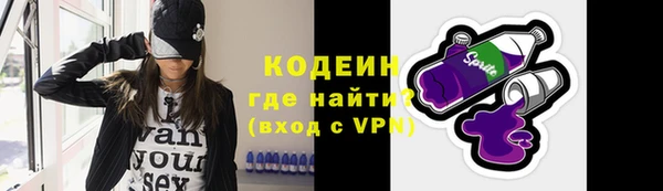хмурый Верея
