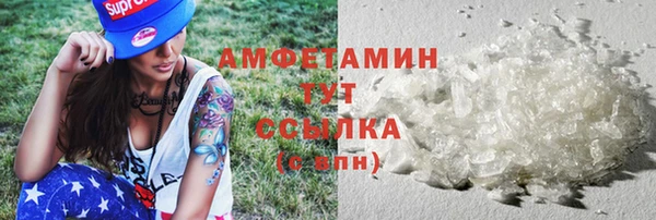 хмурый Верея