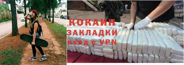 хмурый Верея