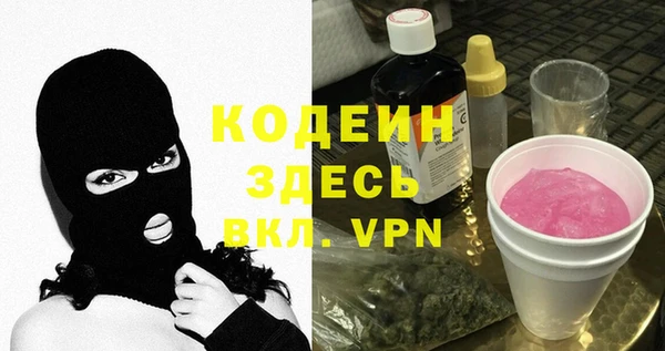 хмурый Верея