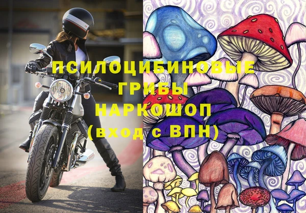 шишки Верхнеуральск