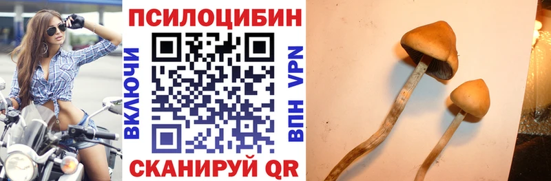 Купить  Армянск  Псилоцибиновые грибы Psilocybine cubensis 